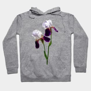 Twin Irises Maroon and White Hoodie